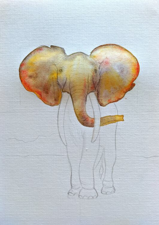 Первый слой акварели и заливка цветом